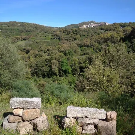 Luxury tent Yogaville Sardegna