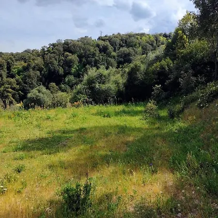 Yogaville Sardegna * Luras