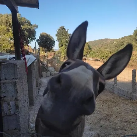 Luxussátor Yogaville Sardegna Luras