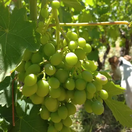 Yogaville Sardegna Luxussátor