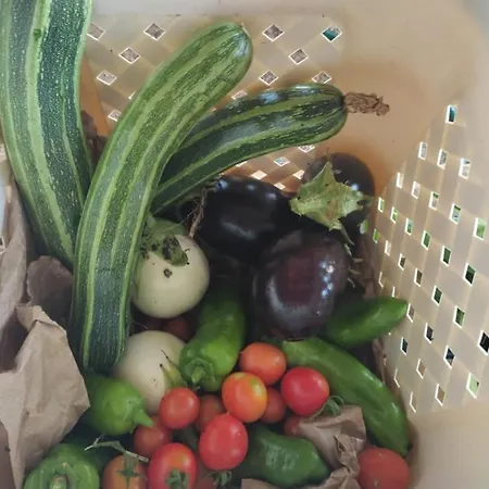 Luxussátor Yogaville Sardegna *