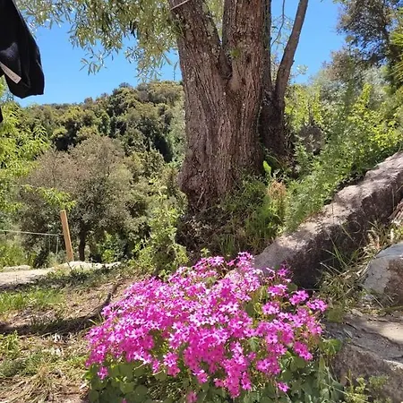 Yogaville Sardegna Campo de lujo *