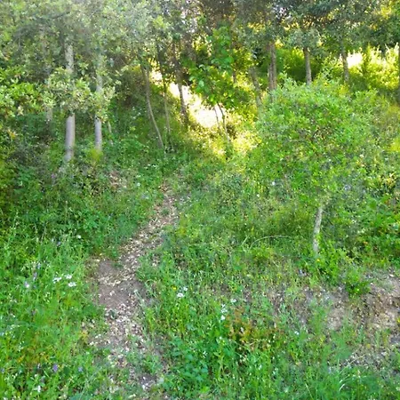 Campo de lujo Yogaville Sardegna *