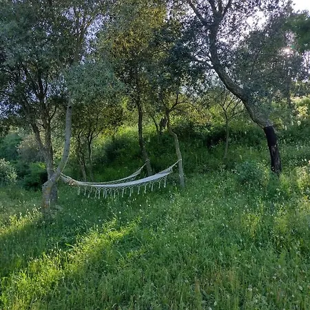 Yogaville Sardegna