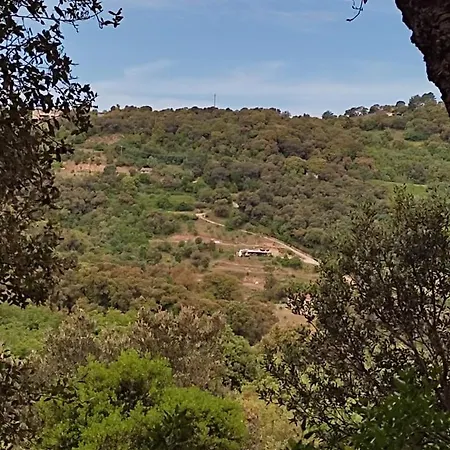 Yogaville Sardegna Luras